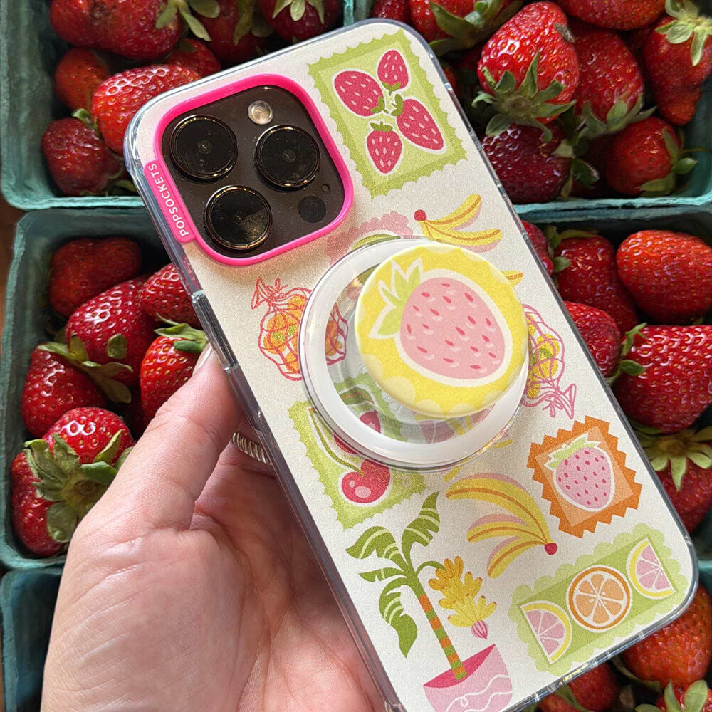 Farmer's Market — iPhone 16 Pro Max MagSafe Case - US 81632