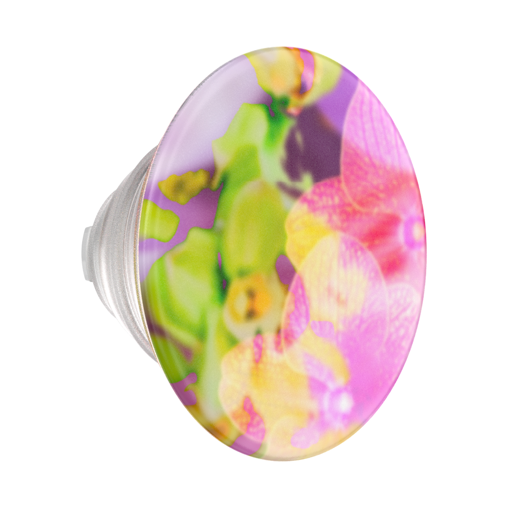 Collage Fleur — PopTop - US 32580