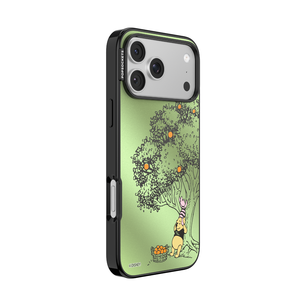 100 Acre Wood — iPhone 17 Pro Max MagSafe Case - US 83500