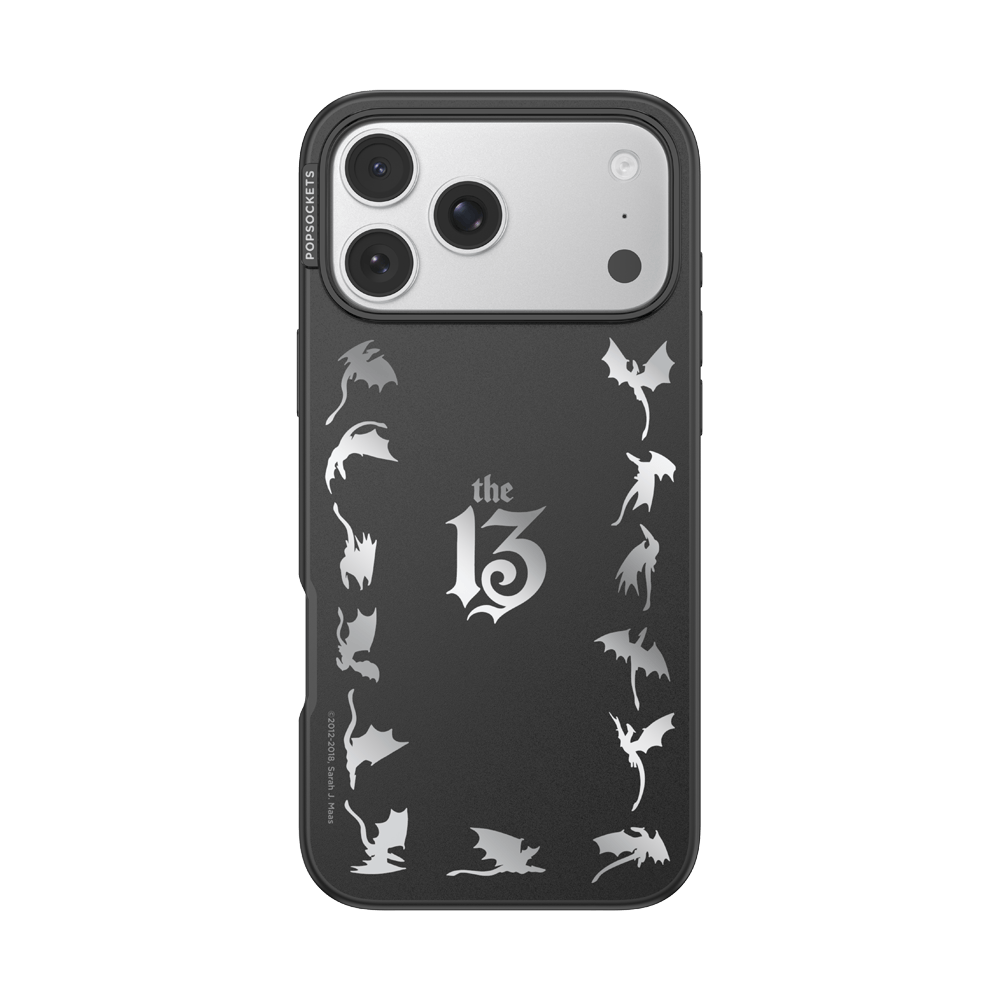 Mirror The 13 — iPhone 17 Pro Max MagSafe Case - US 95189